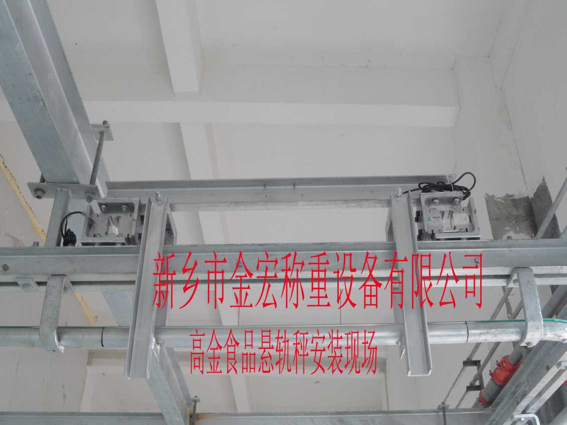 西安电子悬轨秤